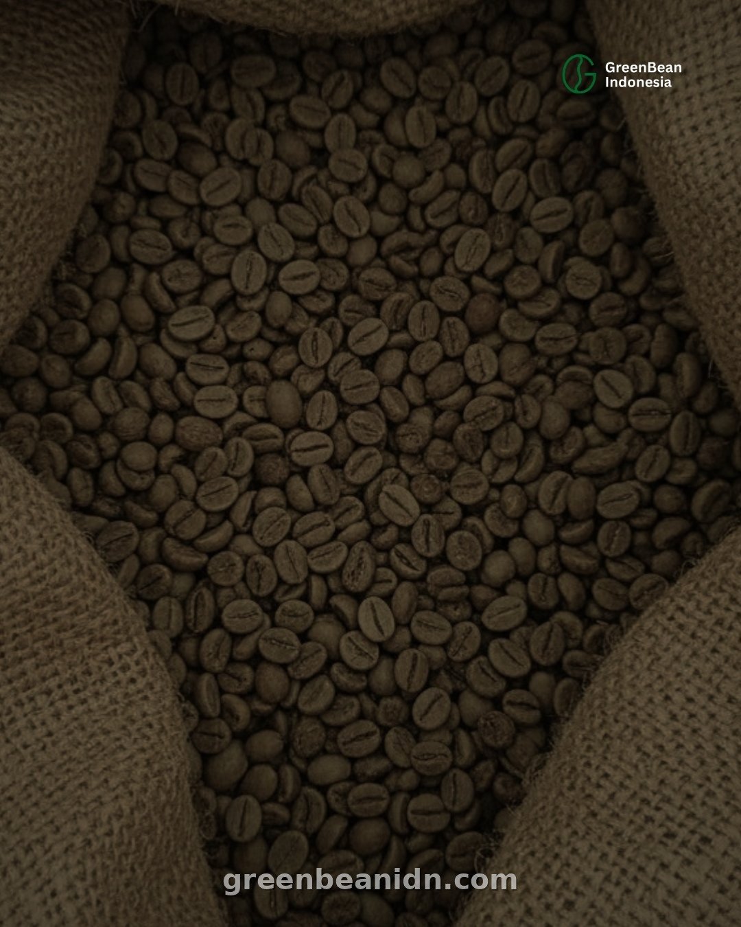 Indonesian coffee plantation aerial view deforestation free landscape